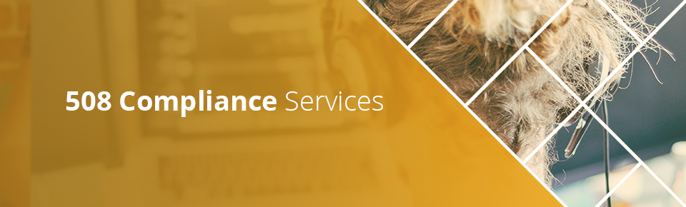 508 compliance services
