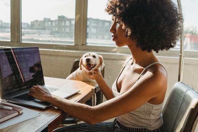 Woman with dog browsing the internet